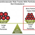 Níveis altos de colesterol são melhores para longevidade.