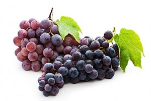 resveratrol