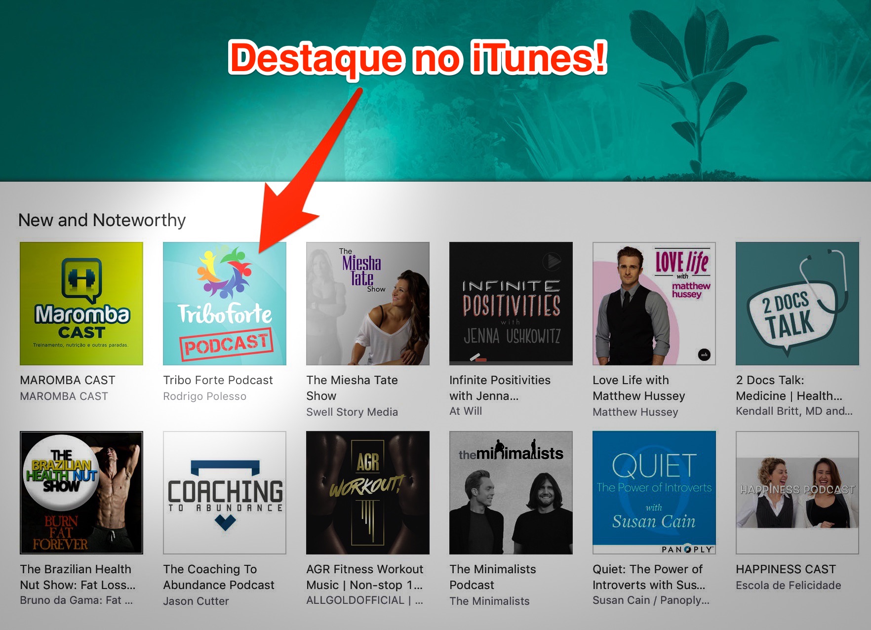 iTunes