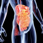 Como melhorar a saúde intestinal