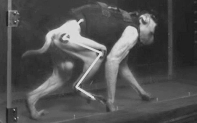 Macacos utilizados na pesquisa tinham apenas uma perna paralisada e conseguiram retomar o movimento e caminhar 