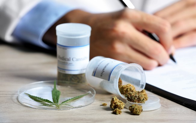 Medicamento à base de maconha terá quantidade de CBD purificado, com apenas traços residuais de THC